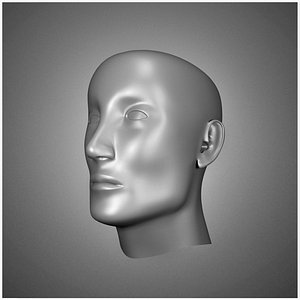 Male Head Low-poly 3D model