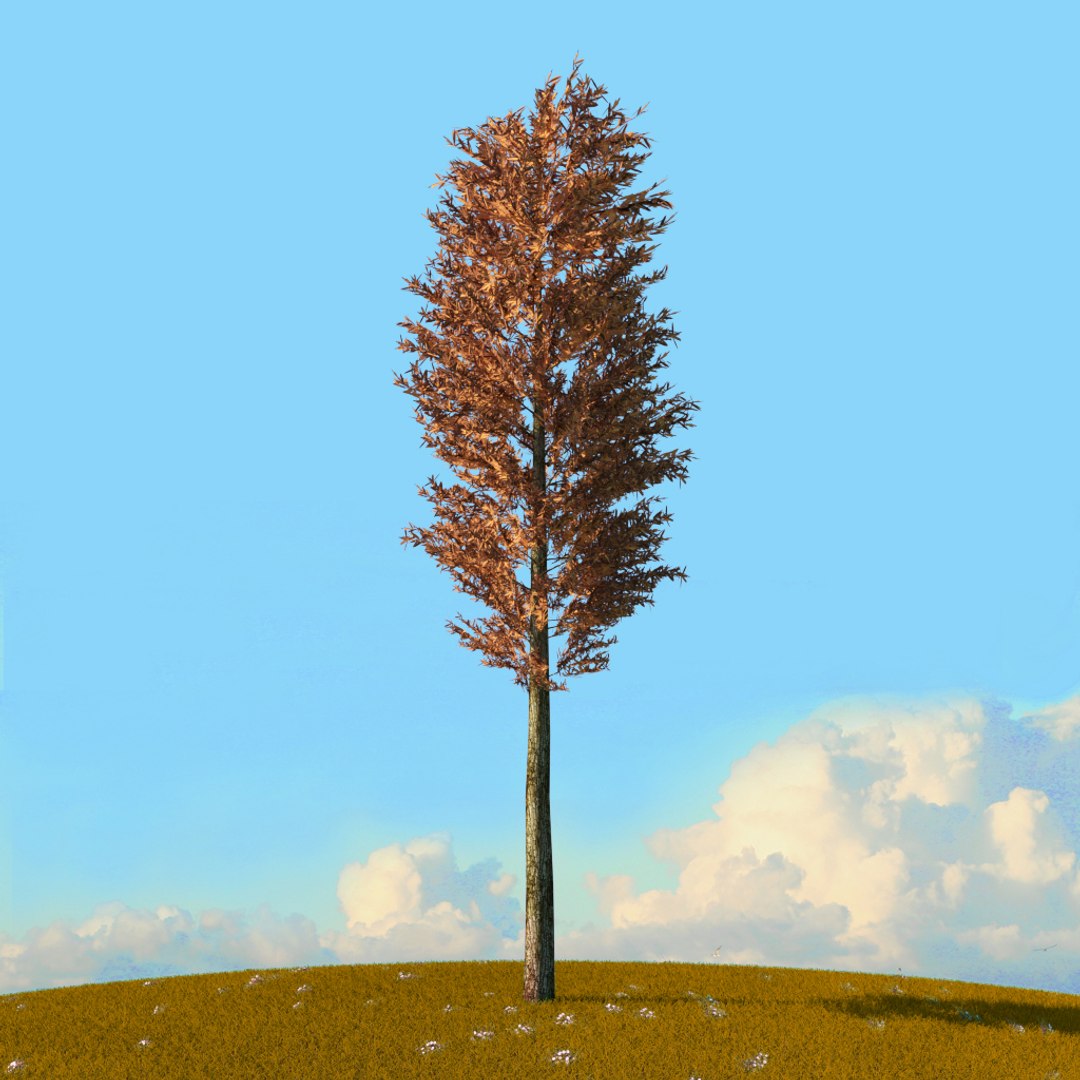 Trees Spring Environment 3D Model - TurboSquid 1655042