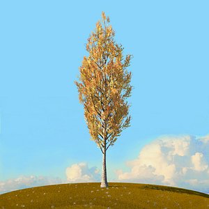 trees spring environment 3D model