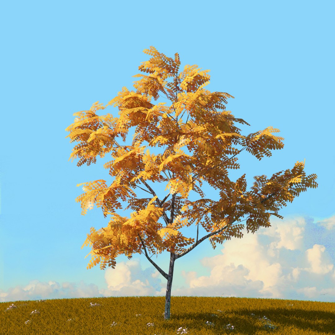 Trees Spring Environment 3D Model - TurboSquid 1655042