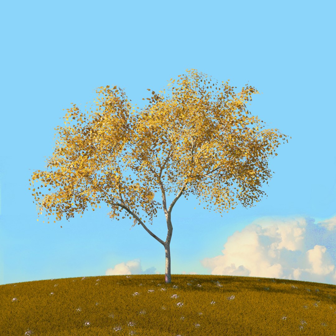 Trees Spring Environment 3D Model - TurboSquid 1655042