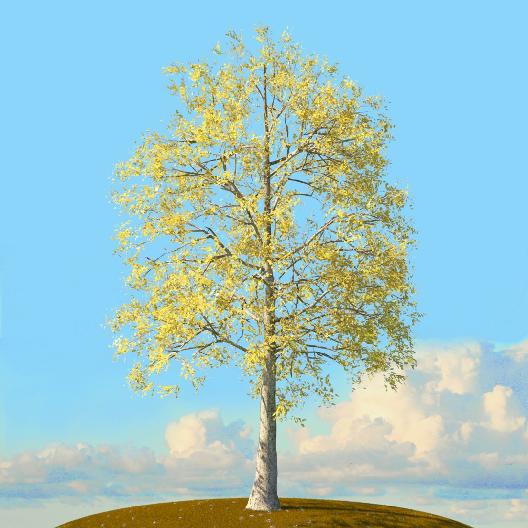 Trees Spring Environment 3D Model - TurboSquid 1655042
