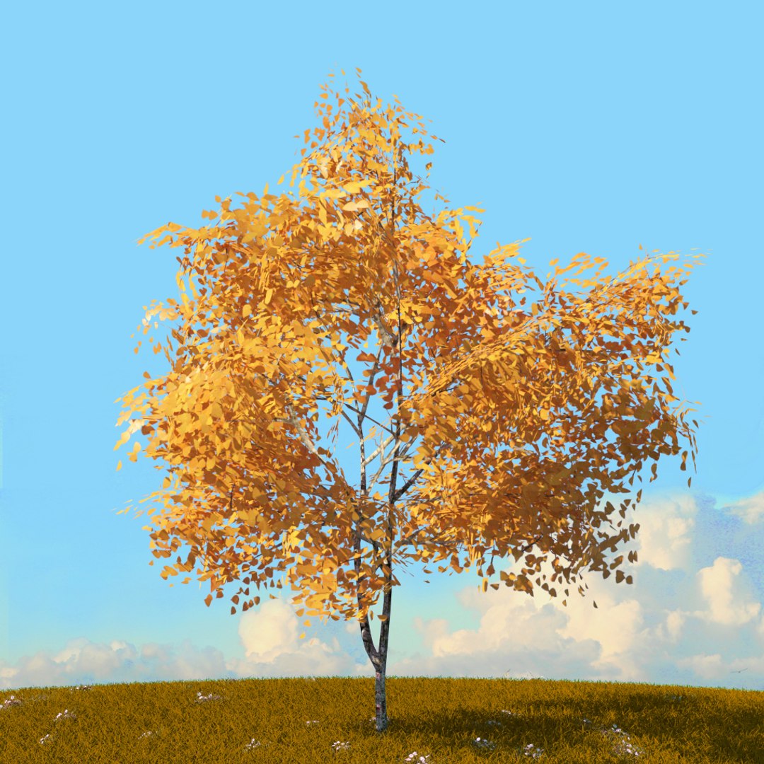 Trees Spring Environment 3D Model - TurboSquid 1655042