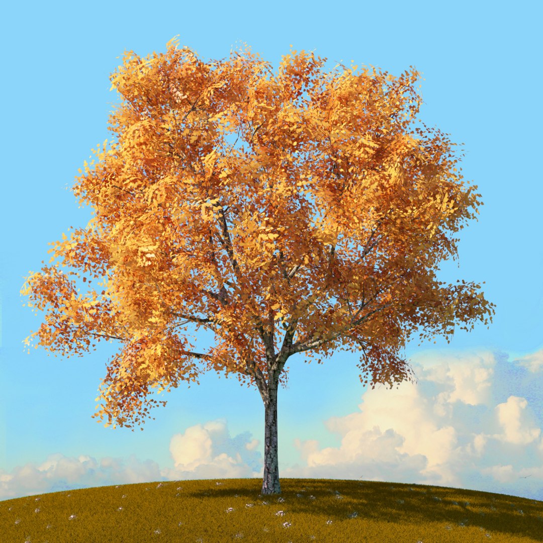Trees Spring Environment 3D Model - TurboSquid 1655042
