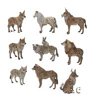 Low Poly Stylized Desert Wolf and Hyena Creature Set - 3D Animal Collection