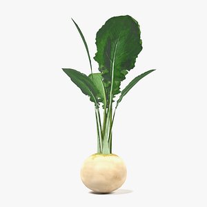 white radish 3d 3ds