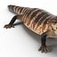 3d model blue tongued skink pose