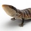 3d model blue tongued skink pose