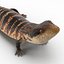 3d model blue tongued skink pose