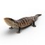 3d model blue tongued skink pose