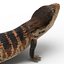 3d model blue tongued skink pose