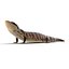 3d model blue tongued skink pose