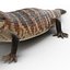 3d model blue tongued skink pose