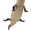 3d model blue tongued skink pose