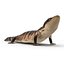 3d model blue tongued skink pose