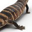 3d model blue tongued skink pose