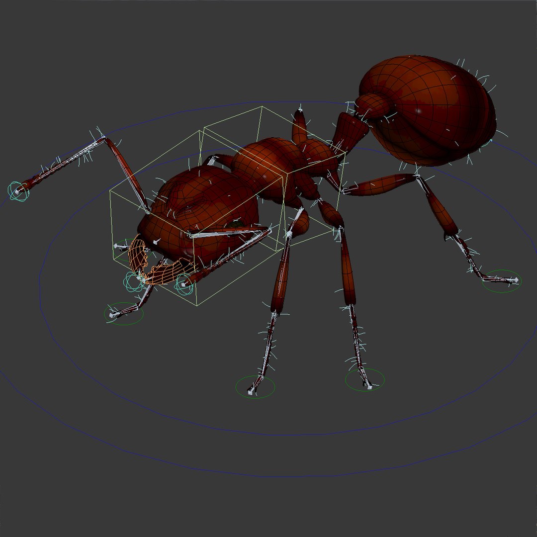 dugm05 rigged insect 01 3d model https://p.turbosquid.com/ts-thumb/Rl/I98ZKP/IKNk7KCo/fireant_09/jpg/1433611609/1920x1080/fit_q87/5fa8c723b81c11f24b403298b1d72a2cab255852/fireant_09.jpg