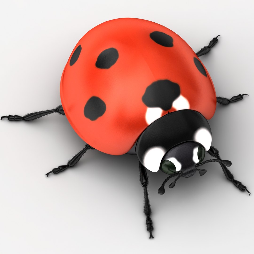 dugm05 rigged insect 01 3d model https://p.turbosquid.com/ts-thumb/Rl/I98ZKP/J1AiLkgy/ladybug_01/jpg/1433611549/1920x1080/fit_q87/790a757597809aa3b175db91773bc1f5ad6ce534/ladybug_01.jpg