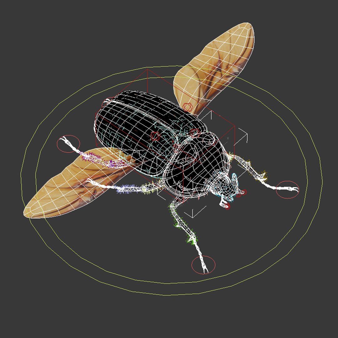 dugm05 rigged insect 01 3d model https://p.turbosquid.com/ts-thumb/Rl/I98ZKP/KDSPdFe3/rhinoceros_beetle_11/jpg/1433611574/1920x1080/fit_q87/9a8187b08073dbde1909f20ea9b5556e5703a1ae/rhinoceros_beetle_11.jpg