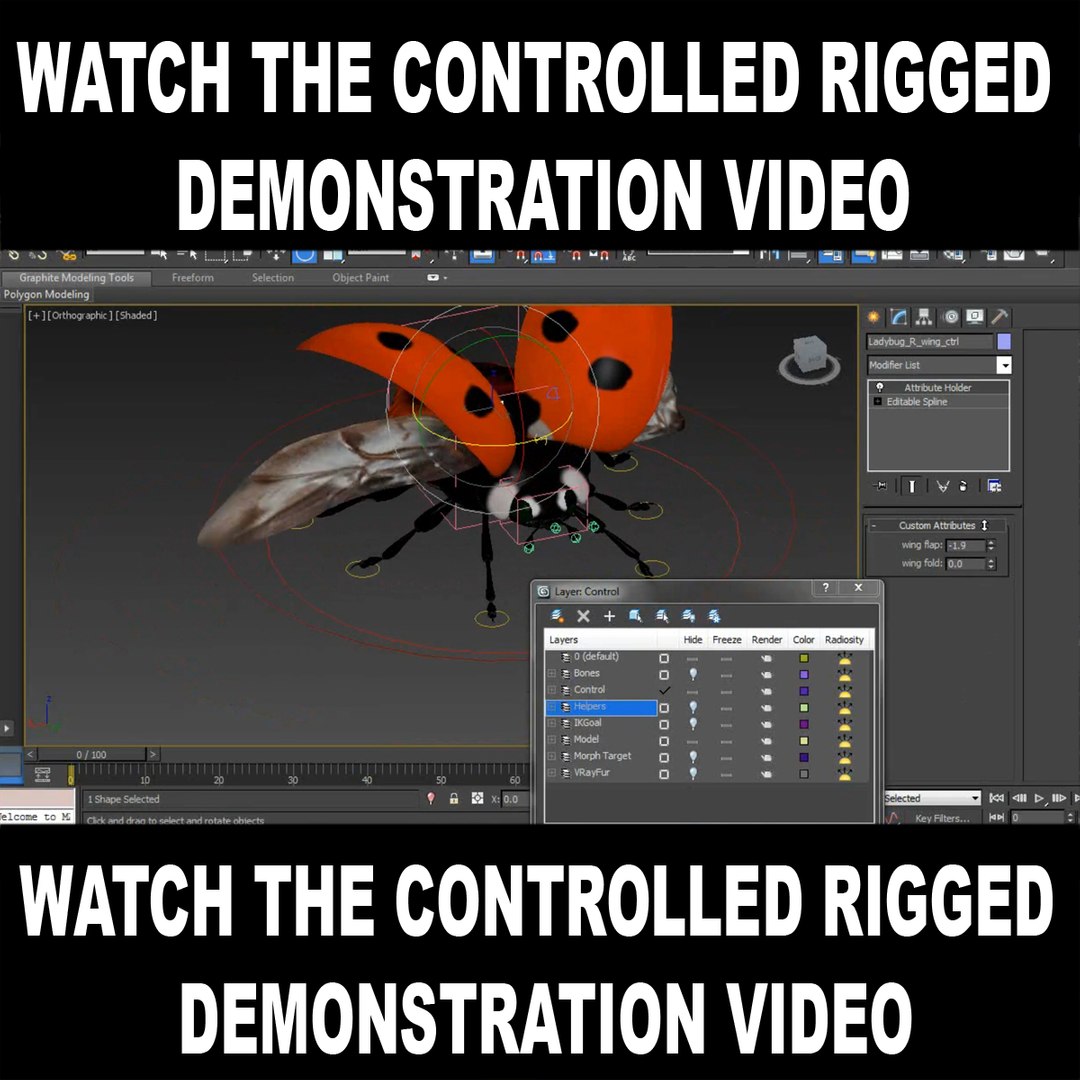 dugm05 rigged insect 01 3d model https://p.turbosquid.com/ts-thumb/Rl/I98ZKP/n9lGbZ8x/ladybug_06/jpg/1434205526/1920x1080/fit_q87/ac5b2e2920f8c4f0a8a93dbf6305ed396f8799d8/ladybug_06.jpg