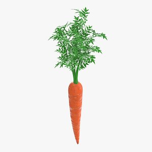 carrot 03