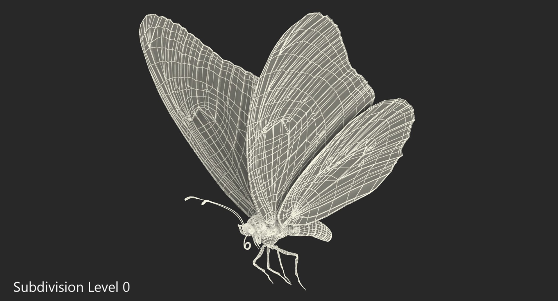 3D milkweed butterfly flying pose https://p.turbosquid.com/ts-thumb/Rl/OuefrU/4EGuPIIu/milkweedbutterflyflyingposevray3dmodel006/jpg/1519851759/1920x1080/fit_q87/c8ddb9e7a30d793f7239d08c614f09d59798fd07/milkweedbutterflyflyingposevray3dmodel006.jpg