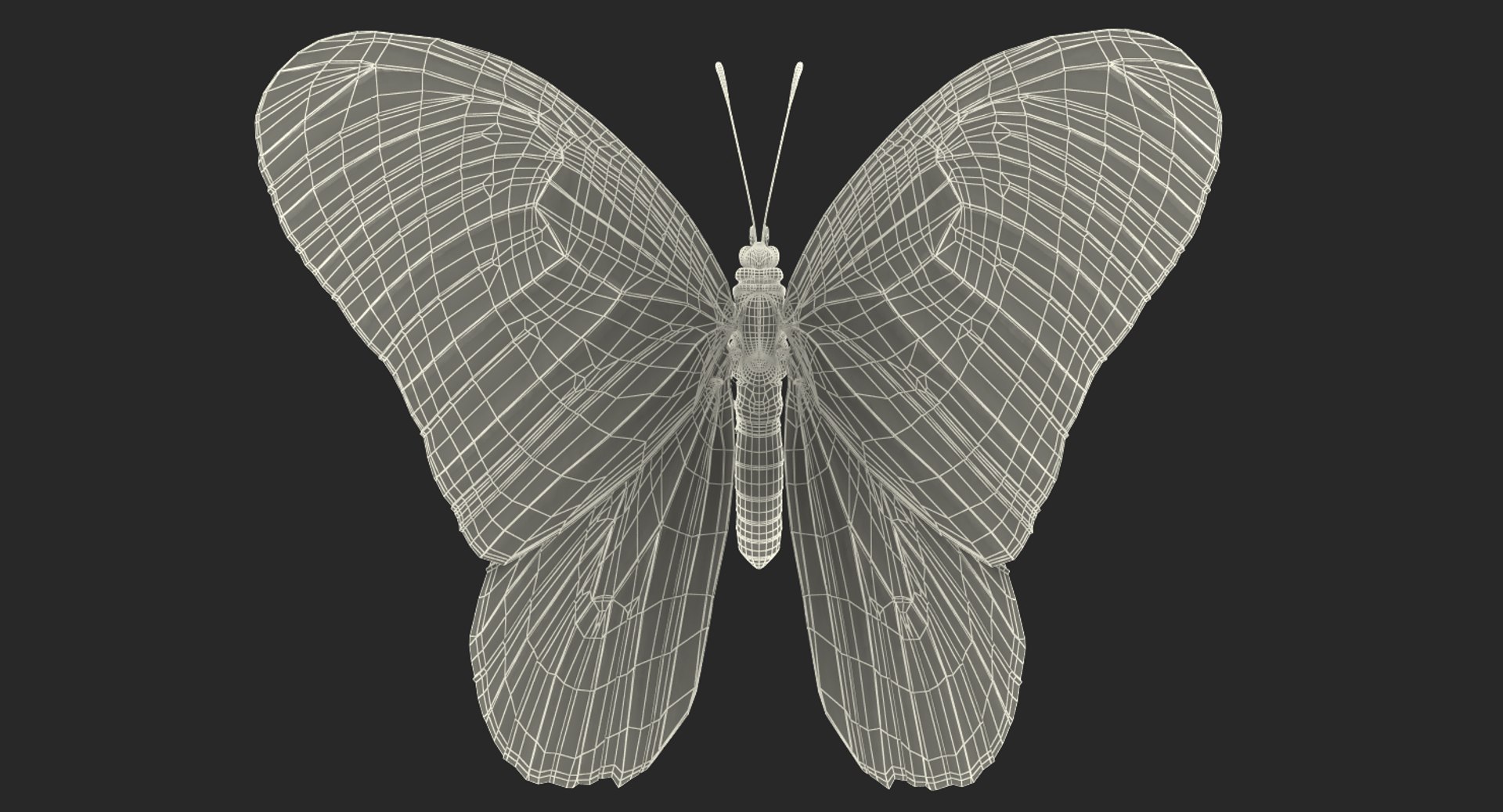 3D milkweed butterfly flying pose https://p.turbosquid.com/ts-thumb/Rl/OuefrU/J5OmXYFg/milkweedbutterflyflyingposevray3dmodel013/jpg/1519851786/1920x1080/fit_q87/716f4914ecab2f90f8827d469652aa02ceb4ed74/milkweedbutterflyflyingposevray3dmodel013.jpg