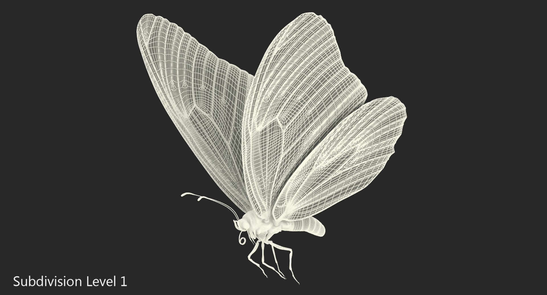 3D milkweed butterfly flying pose https://p.turbosquid.com/ts-thumb/Rl/OuefrU/UTkdCGqj/milkweedbutterflyflyingposevray3dmodel007/jpg/1519851762/1920x1080/fit_q87/2864f84df1d8c993b424b117ce8bd6462242b8c0/milkweedbutterflyflyingposevray3dmodel007.jpg