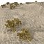 Crater