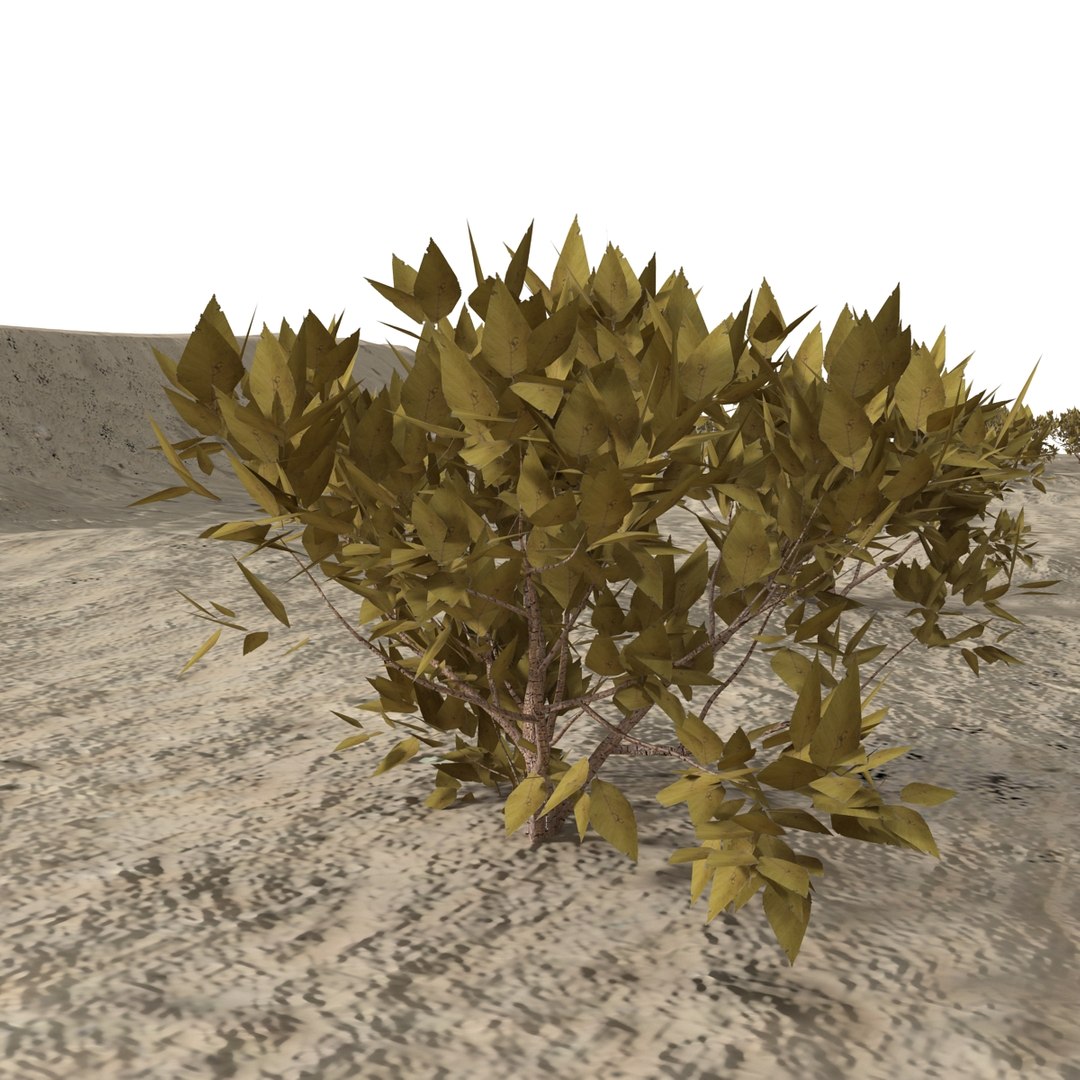 crater scene 3d max https://p.turbosquid.com/ts-thumb/Rl/Tv4NGC/R16h0Exd/crater_14/jpg/1393370924/1920x1080/fit_q87/c336f8acd8648a5d6bcce39da71ce6a930fc1899/crater_14.jpg