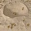 Crater
