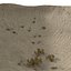 Crater