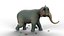 Elefante dei cartoni animati - MAYA Rigged e Blender Rigged