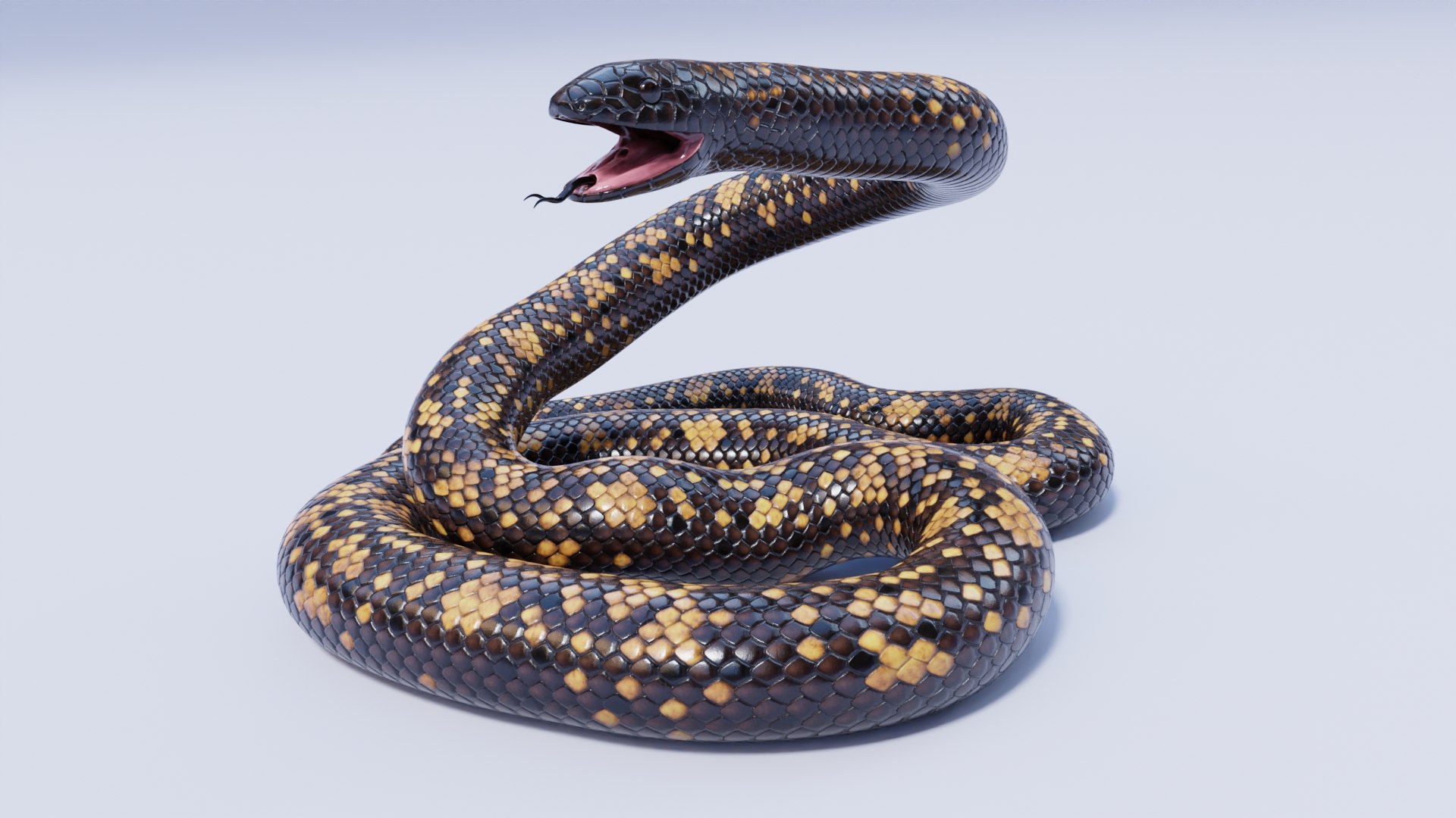 Calabar Python - Static Poses 3D - TurboSquid 2020567