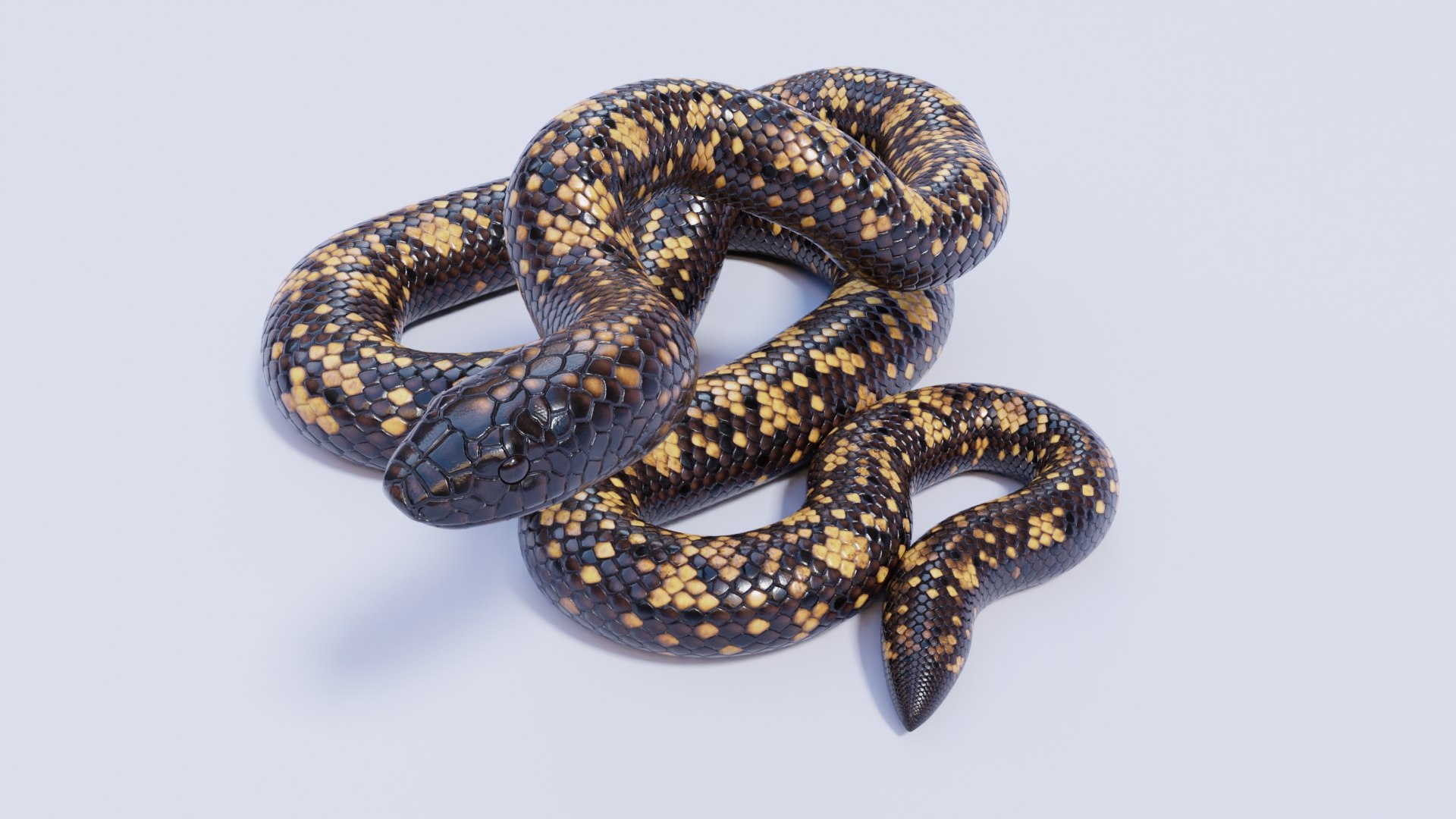 Calabar Python - Static Poses 3D - TurboSquid 2020567