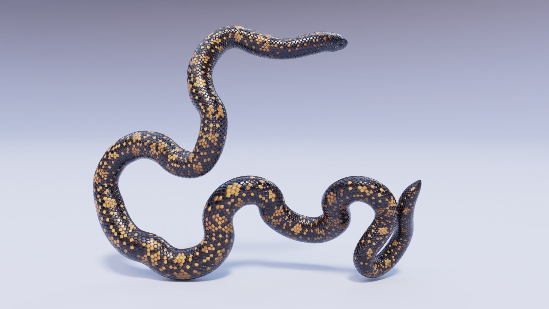 Calabar Python - Static Poses 3D - TurboSquid 2020567