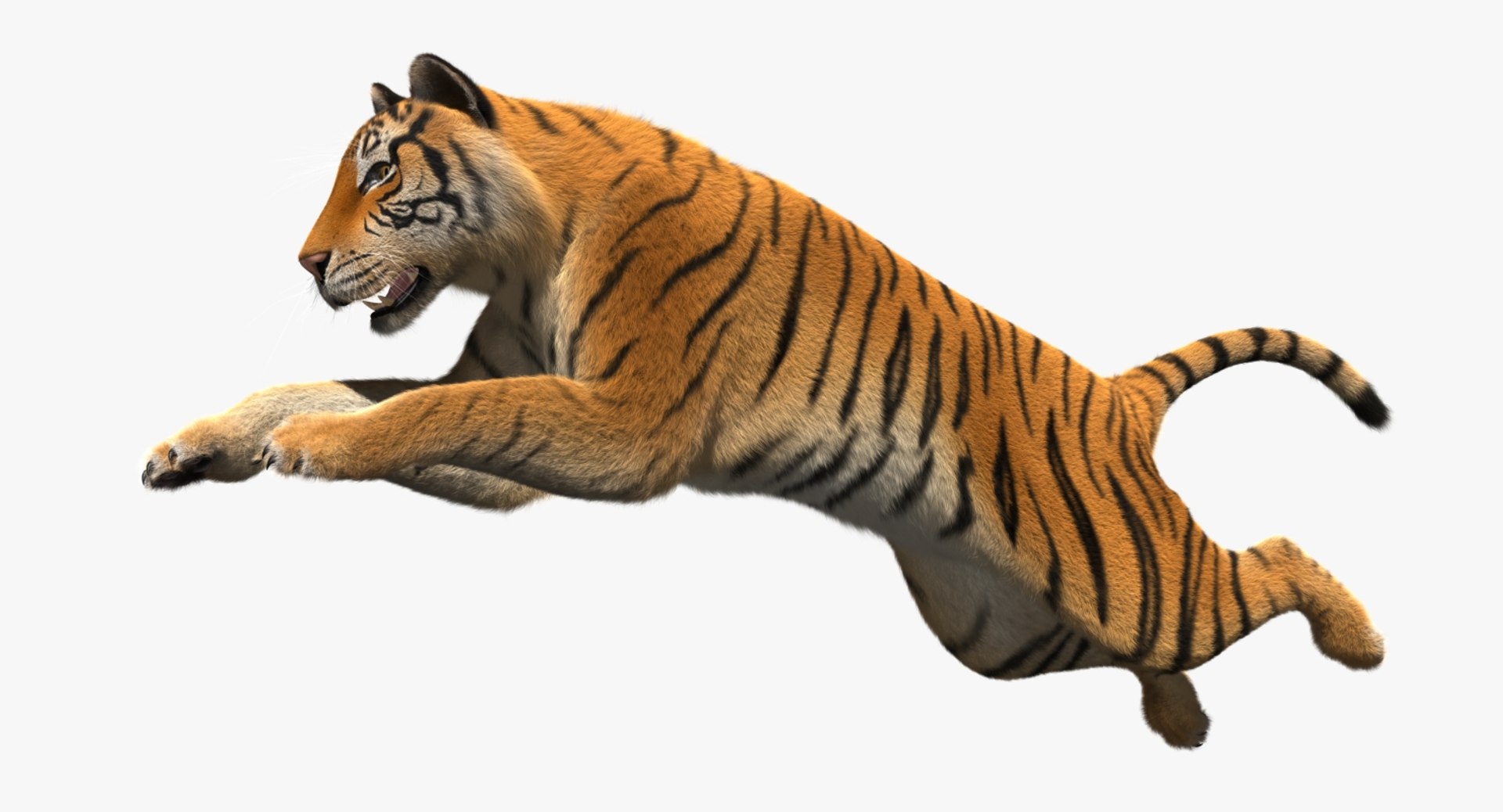 obj tiger shave haircut https://p.turbosquid.com/ts-thumb/Rl/bAdxxa/NRoFLaJR/rp08/jpg/1478417341/1920x1080/fit_q87/c39f98168e79e5f346521d1283dcd8c0e0973ddb/rp08.jpg