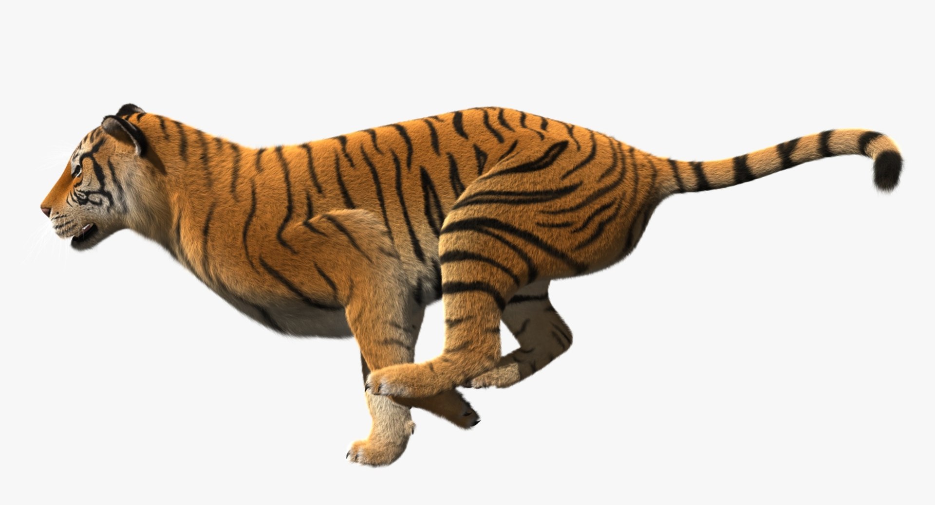 obj tiger shave haircut https://p.turbosquid.com/ts-thumb/Rl/bAdxxa/rP78q36b/rp04/jpg/1478417340/1920x1080/fit_q87/5270aba94af579b6a62b3df96af90eb0f473af9a/rp04.jpg