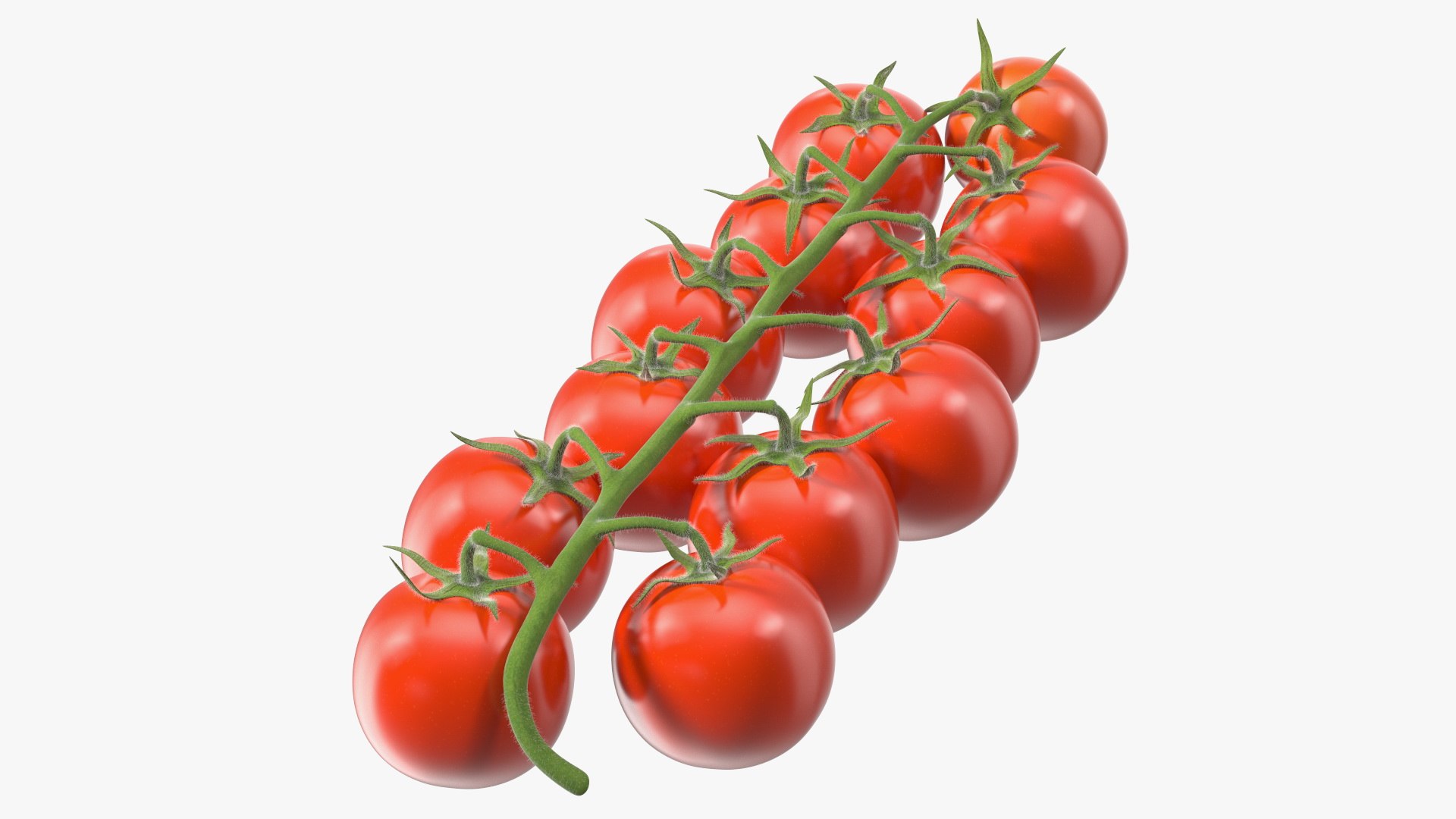 Cherry Tomatoes on the Vine Fur 3D model preview