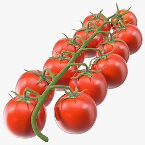 3D Cherry Tomatoes on the Vine Fur