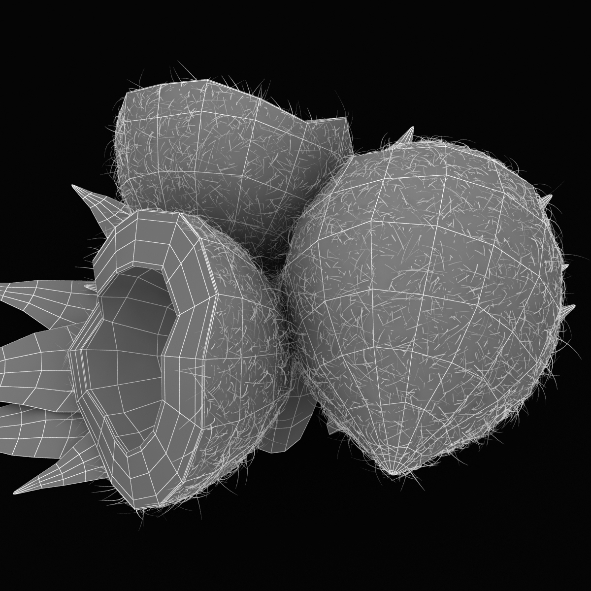 realistic coconut hair 3d model