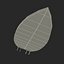 Collezione Surfboards 2