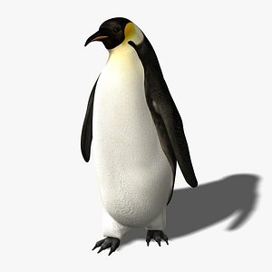 3d penguin rigged model