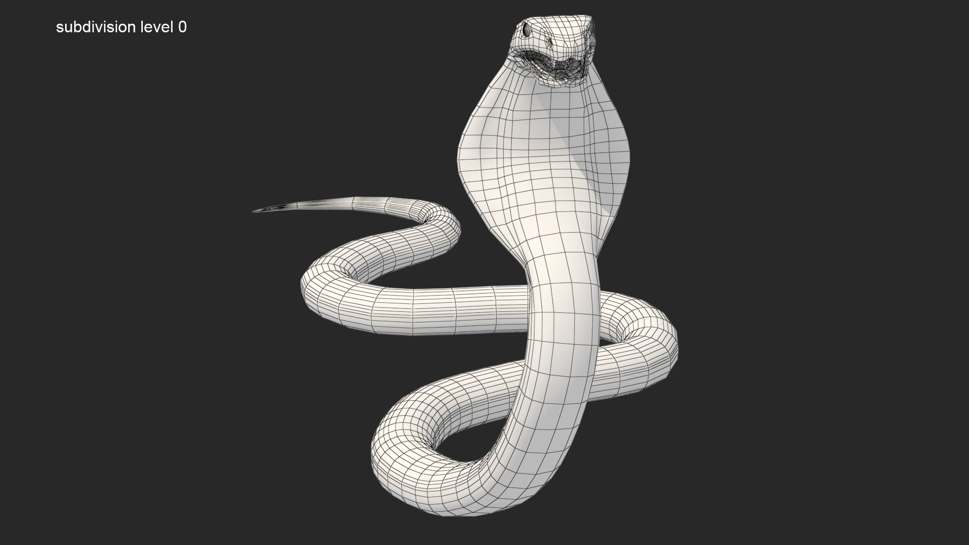 COBRA DOWNLOAD COBRA 3d model animated for  blender-fbx-unity-maya-unreal-c4d-3ds max - 3D printing SNAKE COBRA SNAKE