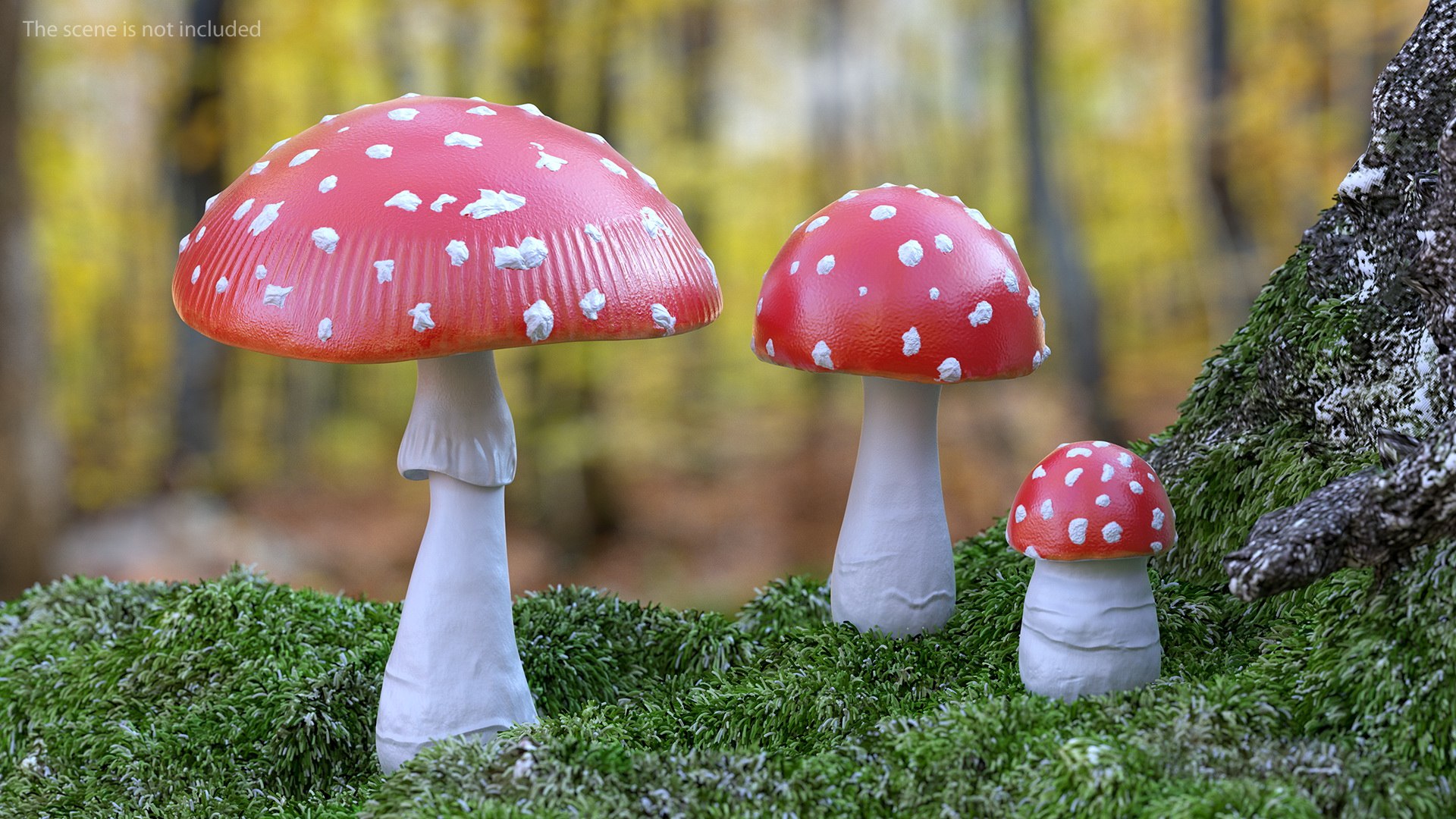 Amanita Mushrooms Set 3D model preview