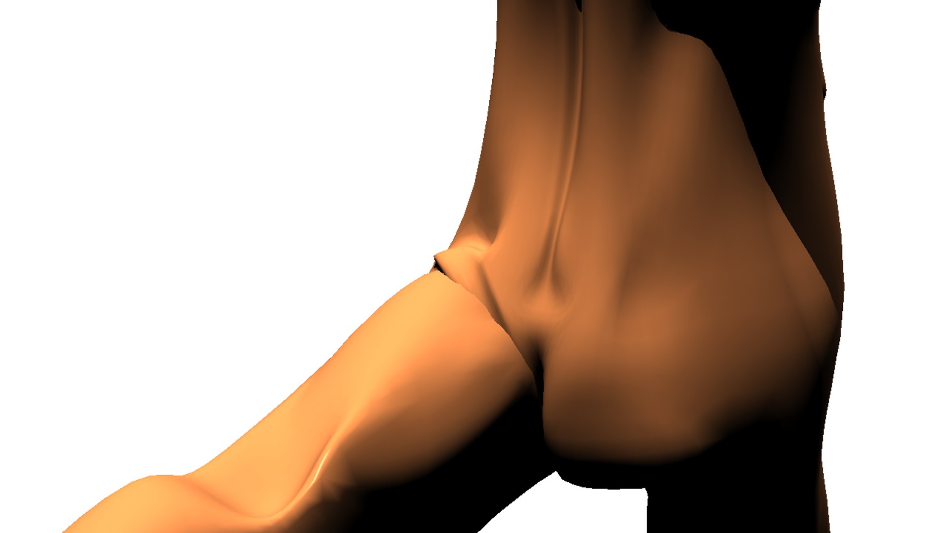 human model https://p.turbosquid.com/ts-thumb/Rl/yqa9CF/g5mOaA4K/8/png/1546425295/1920x1080/fit_q87/64d3d0720ee367f489c807e03d4757685cd24436/8.jpg