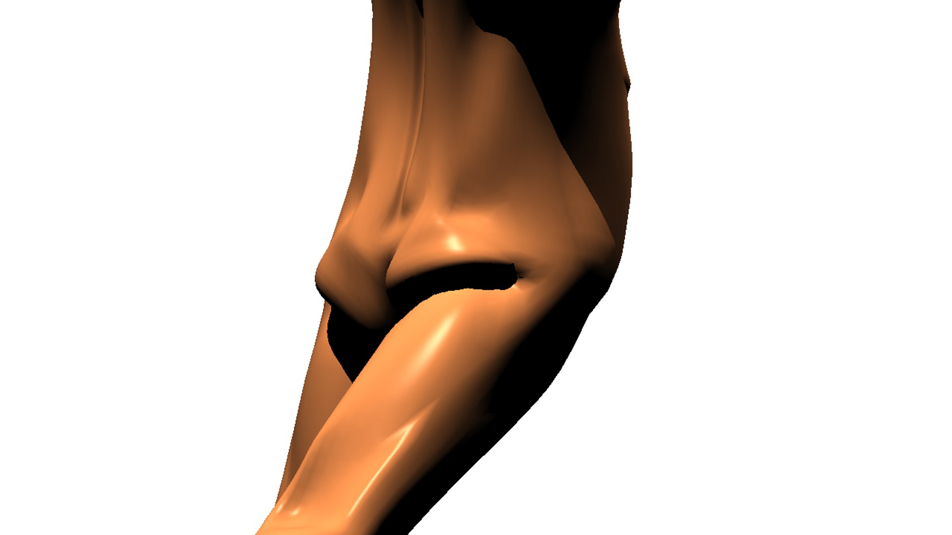human model https://p.turbosquid.com/ts-thumb/Rl/yqa9CF/vxlh4NqW/9/png/1546425304/1920x1080/fit_q87/50d30c912a157b3fd6e33556b311f78e006d13ca/9.jpg