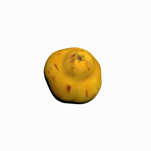 quince scan scanner 3D model