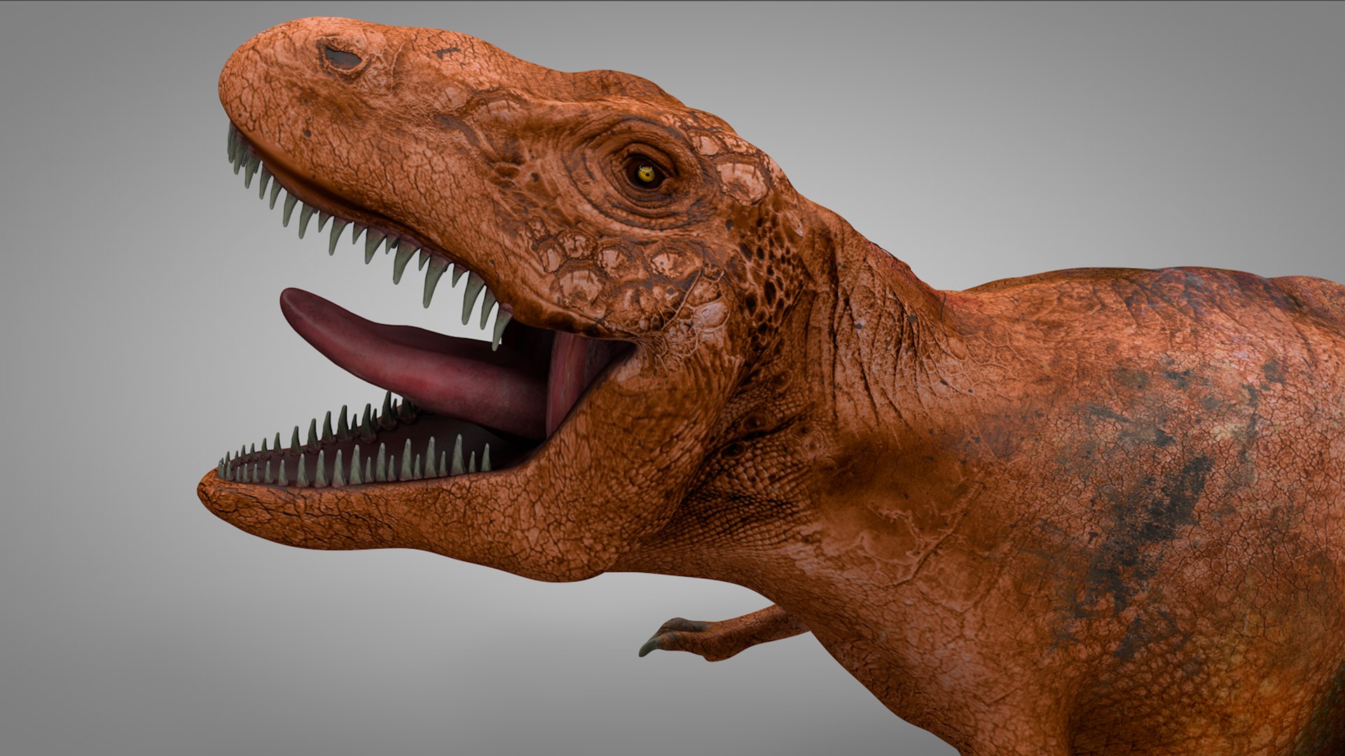 rex l992 animate model https://p.turbosquid.com/ts-thumb/Rm/3erVO9/UzRzocJn/04/png/1601944072/1920x1080/fit_q87/77d4b8a17f1082e6ab89a479552613cb48962161/04.jpg