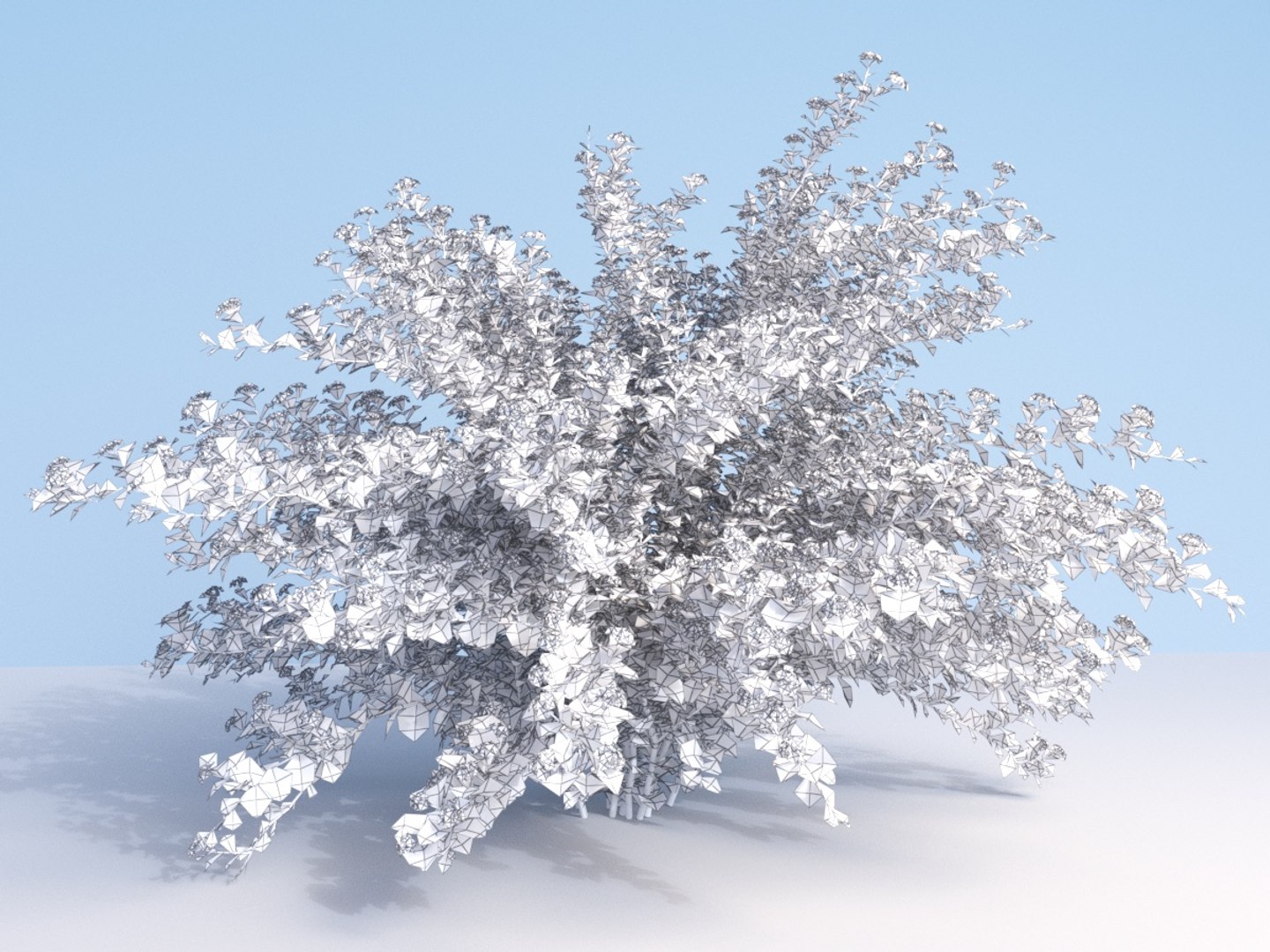 3D model 8 ninebark physocarpus opulifolius https://p.turbosquid.com/ts-thumb/Rm/5BDArK/SNks2wAv/wire_2/jpg/1560514894/1920x1080/fit_q87/71ec1c374a1617db20ccb61adae600592f689b40/wire_2.jpg